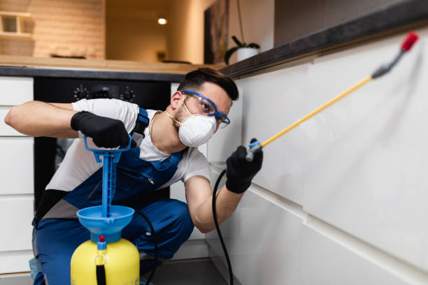 Best Best Pest Control Companies  in New Albany, MS