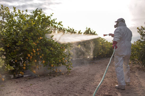 Best Wildlife Control Services  in New Albany, MS