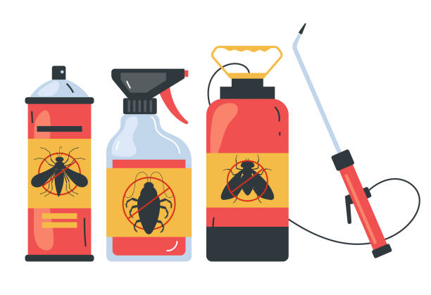 Best Ant Control Services  in New Albany, MS