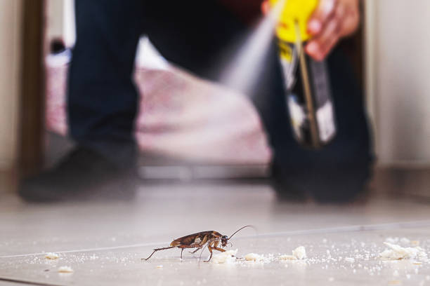 New Albany, MS Pest Control Pros