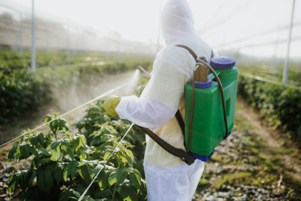 Best Mosquito Control Services  in New Albany, MS